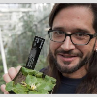 Grand Theft Water Lily