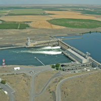 Salmon Protection And Dams