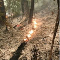 Fires In The West Damage Water Infrastructure