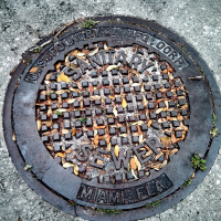 Sewage Surveillance