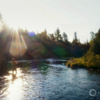 Climate Change Grips Trout Streams Across the United States