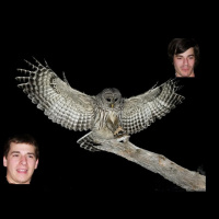 Owl Be Watching You