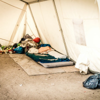 ECFRs World in 30 Minutes: The political economy of the refugee crisis in Germany