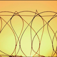 Violence and revolt in Israel/Palestine - the Palestinian perspective