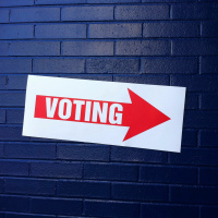 ECFRs World in 30 Minutes: Dutch and British referenda