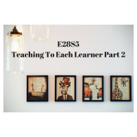 E28S5 Teaching To Each Learner Part 2