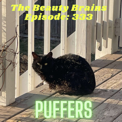 The Beauty Brains