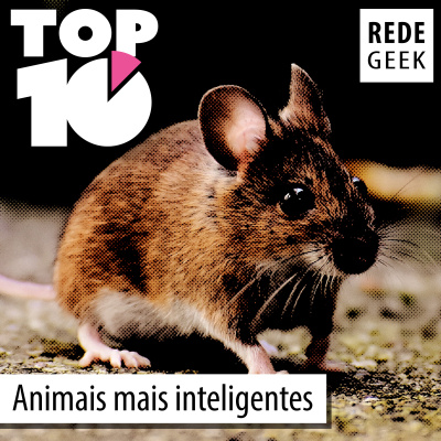 Ultrageek | Rede Geek
