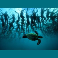 S2. E1 Getting Older, Zwift Racing, 5k PRs