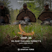 Re-run: Calling Turkeys