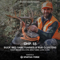 Buck bed sanctuaries  rub clusters