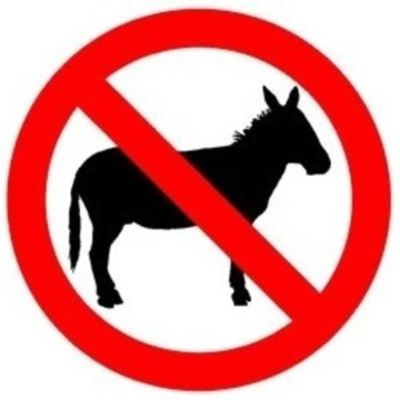 Jincast - No Donkeys (prank Call Podcast)