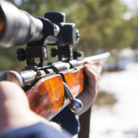 Nathan Shepard talks about Americans love of guns