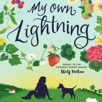 Next Reads: My Own Lightning
