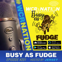Busy as fudge | WCR Nation Ep 201 | A window cleaning business pocast