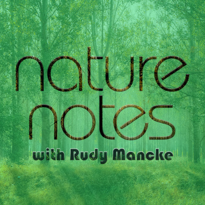 Naturenotes With Rudy Mancke