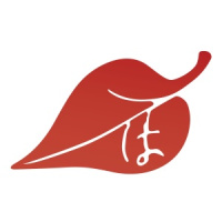 29: Comprar medicinas en la farmacia