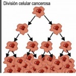 Afrontando La Enfermedad