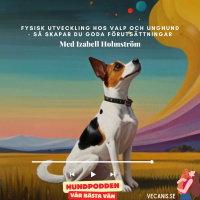 Fysisk utveckling hos valp och unghund - Så skapar du goda förutsättningar