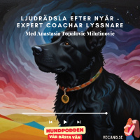 Ljudrädsla efter nyår - Expert coachar lyssnare