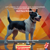 Att lyssna på svansen hos hundfrisören - Signaler bortom borsten