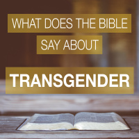 What Does The Bible Say About Transgender?