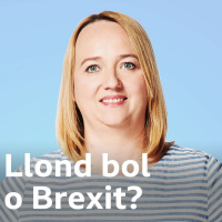 Llond Bol o Brexit?