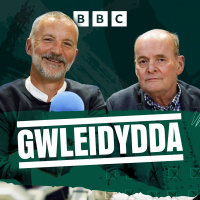 Cynhadledd Plaid Cymru a Thactegau Ymgyrchur Pleidiau