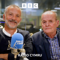 Pwy ydyn ni? A sut maen effeithio ar ein pleidlais?