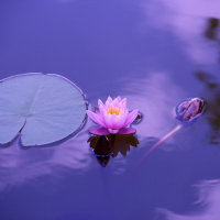 Haz un reset de 5 minutos (meditación guiada)