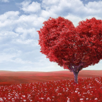 Irradiando amor universal (meditación guiada)