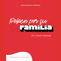 Peleen por su Familia / Lilliana Valverde