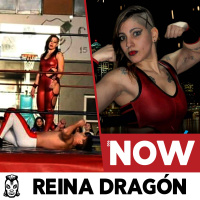 NOW 006: Reina Dragón y la lucha femenina en Argentina.