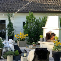 Summer Trends with a Special Guest - Betsy Helmuth!