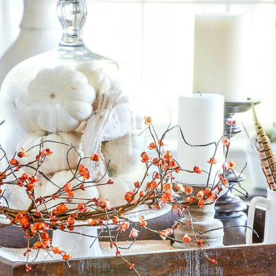 Decorating Tips And Tricks