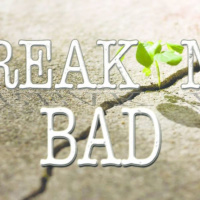 Breaking Bad: Breaking Point