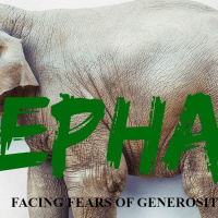 Elephant in the Room: Its a Scam