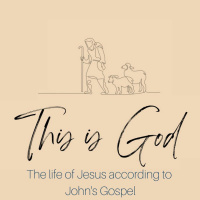 The outrageous acts of Palm Sunday - John - The Book of Signs