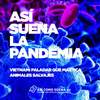 Vietnam: paladar que mastica animales salvajes