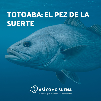 Así Como Suena