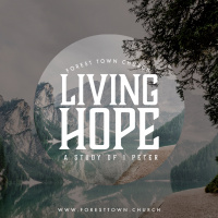 Living Hope: Study in 1 Peter. Protection in Trouble