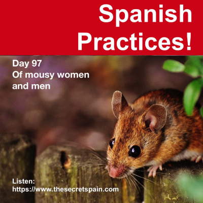 Spanish Practices