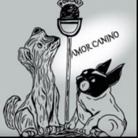 RT68.- Amor Gatuno (@amorcaninopod)