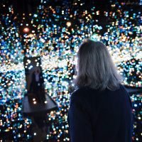 Art In The Age Of Instagram
