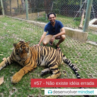 DM #57 - Não existe idéia errada
