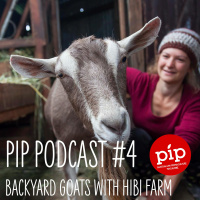 Pip Permaculture Podcast #4: Backyard Goats with Maria Cameron from Hibi Farm