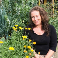 Pip Podcast #24 with Morag Gamble: Our Permaculture Life.