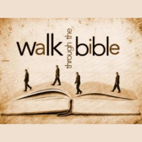Dino Maissano - A WALK THROUGH GENESIS - Audio