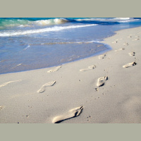 Andy Duncan - THE DISCIPLING OF ANDREW BARJONAH - Audio