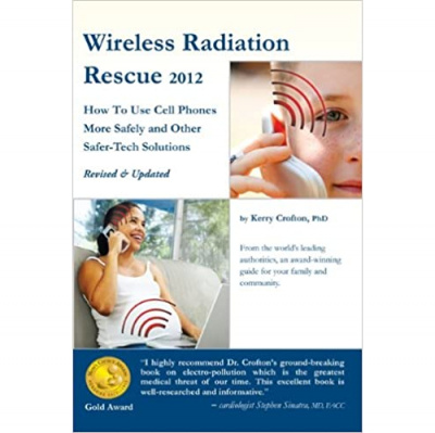 Gab With The Gurus With Connie Bennett